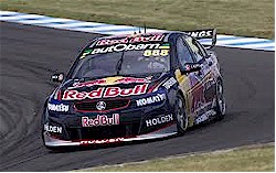 Red Bull Commodore Red Bull Commodore