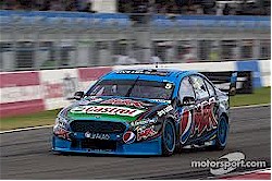 Winterbottom Falcon Winterbottom Falcon