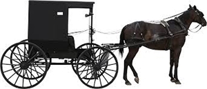 A Horse & Cart A Horse & Cart